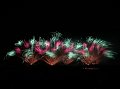 Australien 2   082